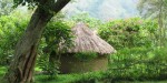 Turacoviewcommunityimage4