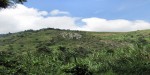 Turacoviewcommunityimage6
