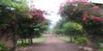 Kguestfarm2