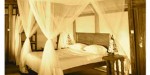 Apokasafarilodge4