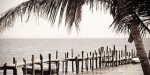 Pineapplebayresortimage4