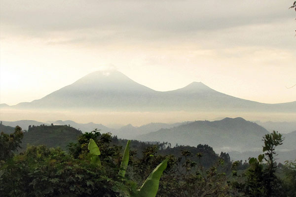 The Virunga Volcanoes dominate the Park. Photo Credit: Vicki Brown