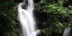 Bunyonyisafari1