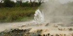 Greatlakesafaris7
