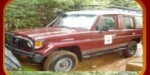 Hogsafariimage1
