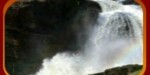 Hogsafariimage4