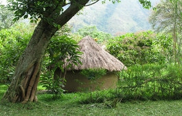 Rwenzori Turaco View Campsite