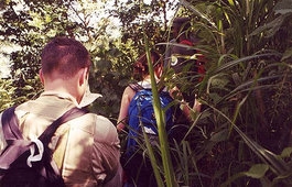 Afri Tours and Travel