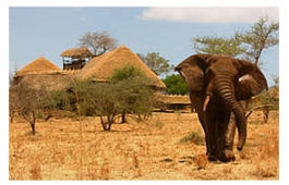 Apoka Safari Lodge