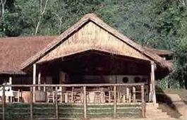 Gorilla Forest Camp