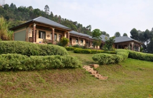 Silverback Safari Lodge
