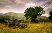 The Far Horizons