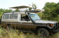 Acacia Safaris