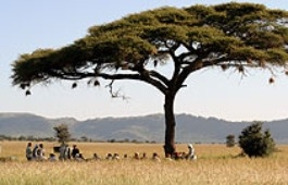 Wild Frontiers / G&C Tours