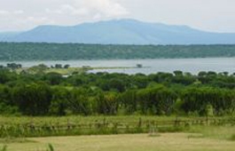 Hippo Hill Lodge