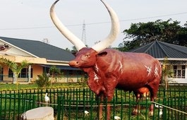 Igongo Cultural Center