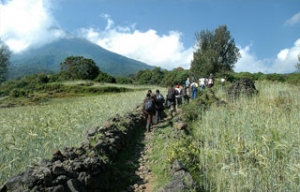 The Batwa Trail